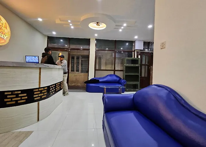 Funky Monkey- A Hostel, And Appart hôtel