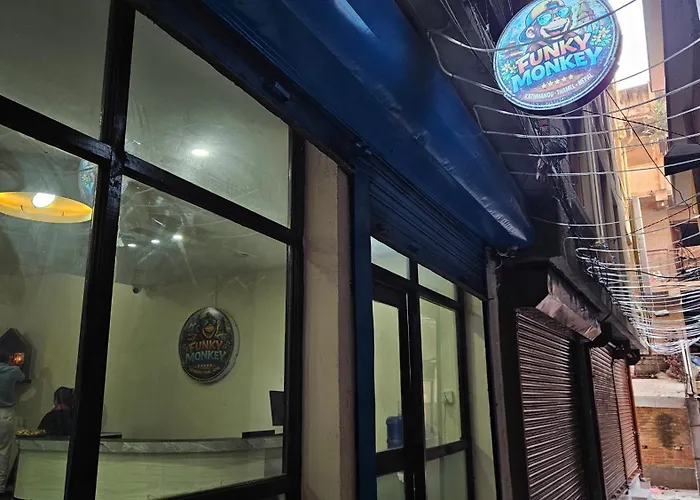 Funky Monkey- A Hostel, And Appart hôtel